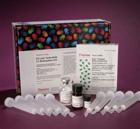 antibody biotinylation kit for elisa|biotinylation kit.